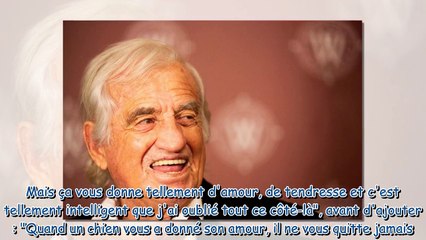 -J'avais un peu honte d'avoir un chien comme ça…- Quand Jean-Paul Belmondo parlait des autres amours