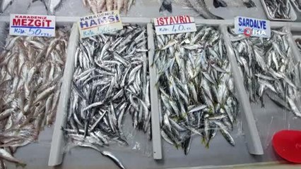 Poyraz, balık fiyatlarını etkiledi