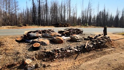 Wildfire survivors face agonizing decisions