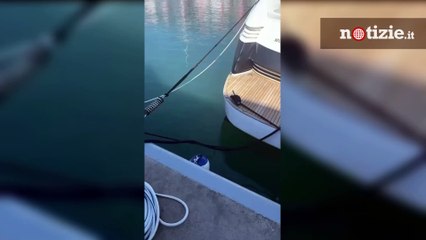 Genova, festa abusiva sullo yacht di un imprenditore: due uomini e una donna sorpresi in mutande