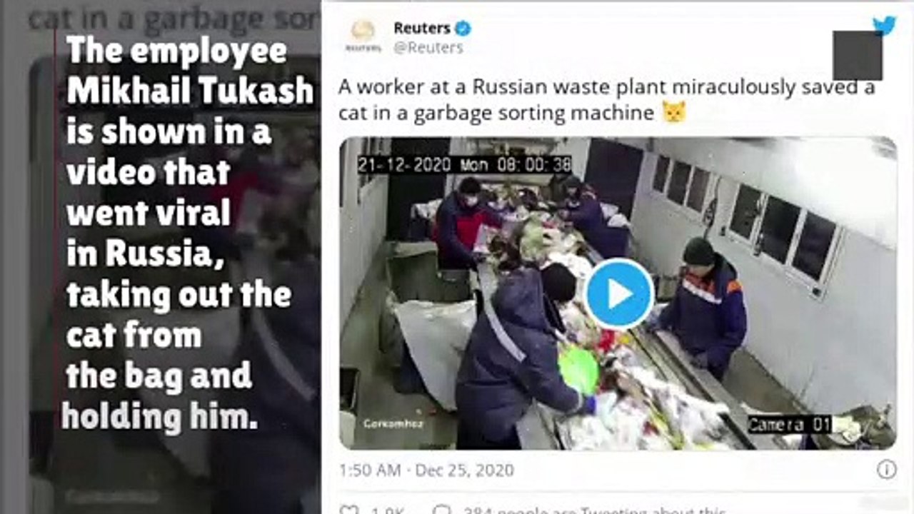A Cat In Russia's Government