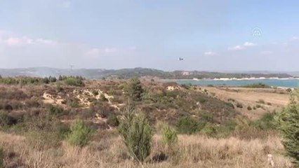 Son dakika haberleri! Çukurova ilçesinde ağaçlık alanda yangın çıktı