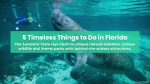 Timeless things to do in Florida