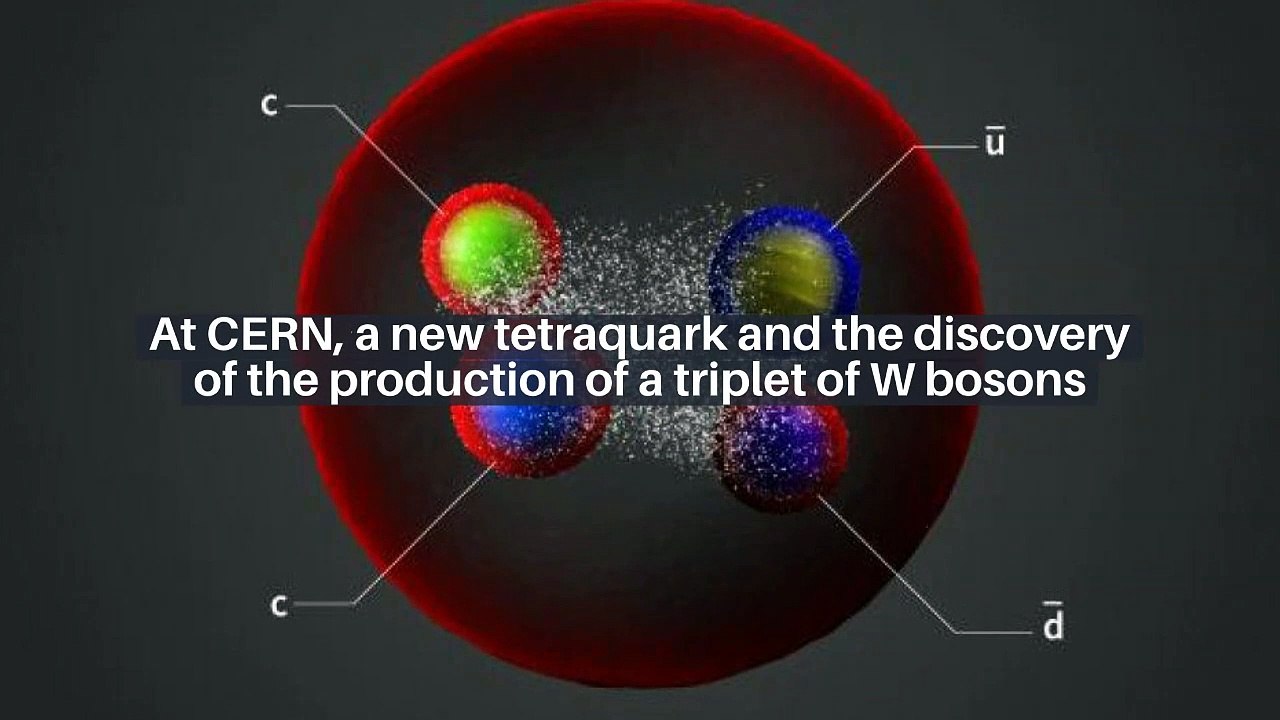IN CURVES. Covid-19: what is the situation in intensive care in your region on September 9?_IN