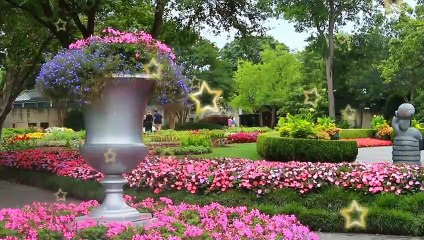 Garden Relaxing  and Stress Relief Music, Mind Refreshing Music