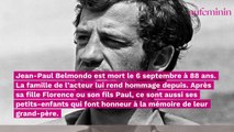 Jean-Paul Belmondo : l'hommage ému de ses petits-fils, qui suivent sa voie