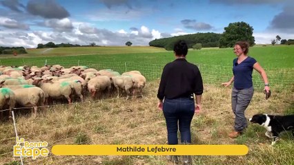 La Bonne Etape - 09/09/2021 - Les Brebis du Lochois