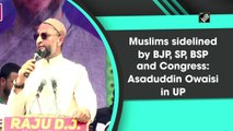 Muslims sidelined by BJP, SP, BSP and Congress: Asaduddin Owaisi in UP