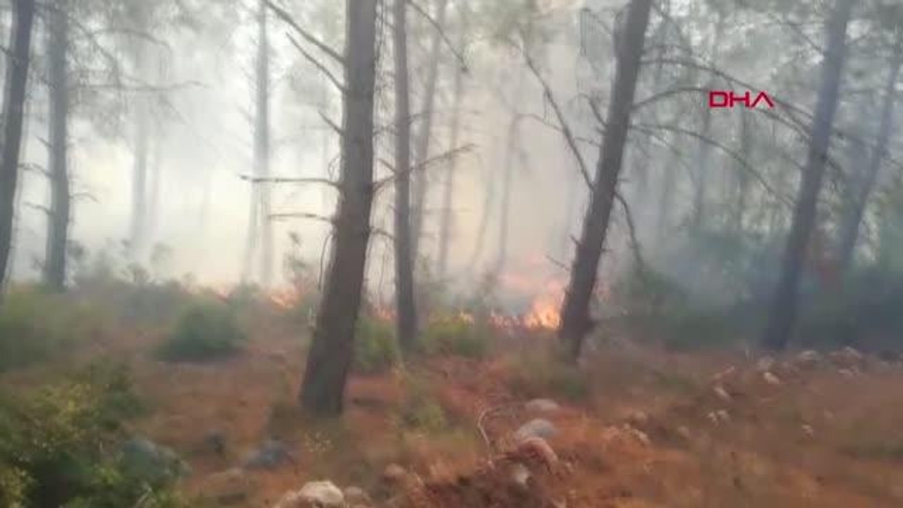 KAŞ'TA ORMAN YANGINI