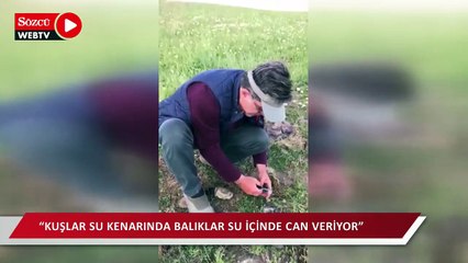 Baraj ve göllerde tırıvırı tuzağıyla katliam..Kuşlar su kenarında balıklar su içinde can veriyor