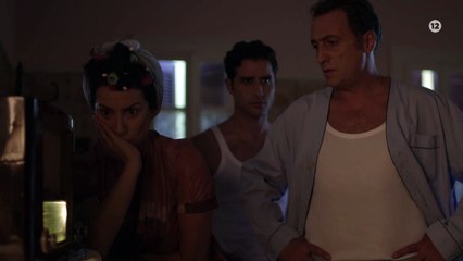 ΑΓΡΙΕΣ ΜΕΛΙΣΣΕΣ - Γ ΚΥΚΛΟΣ - ΕΡΧΕΤΑΙ ΤΟΝ ΣΕΠΤΕΜΒΡΙΟ