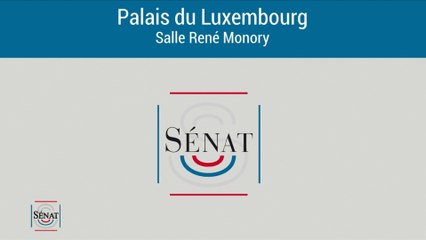 André Gattolin : "Nous nous intéressons à des formes d’influence qui sont des pressions politiques."