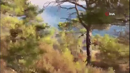 Son dakika haber | Anamur'da orman yangını