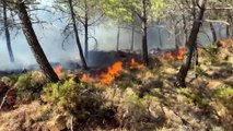 Fallece un bombero en la extinción del incendio de Sierra Bermeja