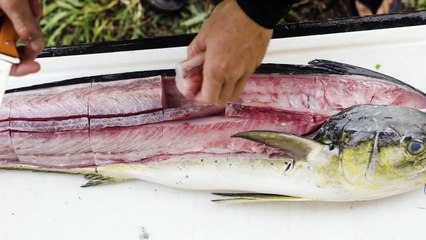 Living Off The Land in Maui with Matt Meola and Quiet Carry
