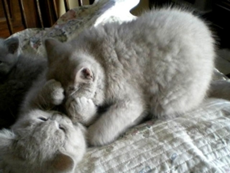 Frère et soeur