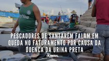 Pescadores de Santarém falam em queda no faturamento por causa da doença da urina preta