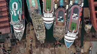 The rise and fall of the cruise industry