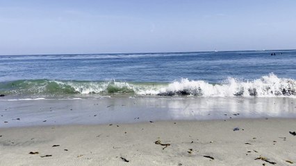 Pleasure Point | Santa Cruz CA