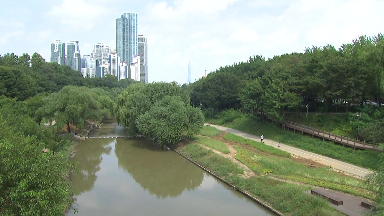 [날씨] 주말 내륙 맑고 늦더위...제주도 120mm 비 / YTN
