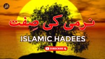 Narmi Ki Sift | Sunnat e Nabvi | Deen Islam | Hadees | HD Video