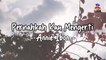 Annie Ibon - Pernahkah Kau Mengerti (Official Lyric Video)