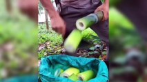 Fastest Workers 2020   Fruit Cutting Skills Level 99 - Part 3