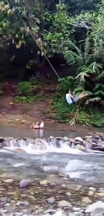 Swing swing