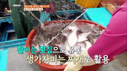 울산의 맛! 처음 만난 에일리를 위한 가자미 눈높이 교육 TV CHOSUN 20210910 방송
