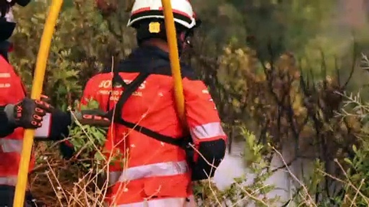 Costa del Sol: Wald steht in Flammen