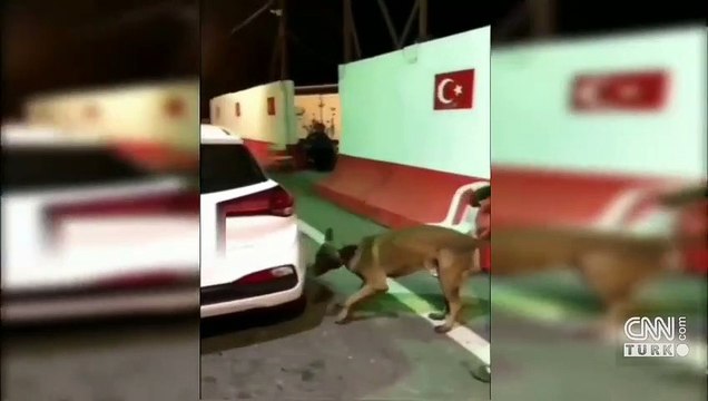 Narkotik köpeği şüphelenince ekipler arama yaptı... Araçtan 3,5 kg uyuşturucu çıktı