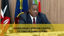 Uhuru urges African youth to take up agriculture