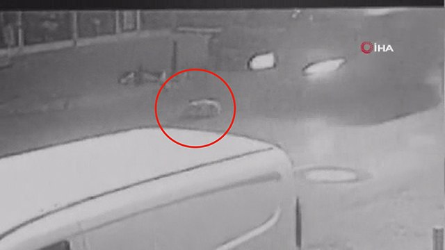 Beykoz’da yerde yatan köpeği ezip kaçan sürücü kamerada