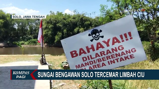 Tercemar Limbah Ciu, Air Sungai Bengawan Solo Keluarkan Bau Menyengat