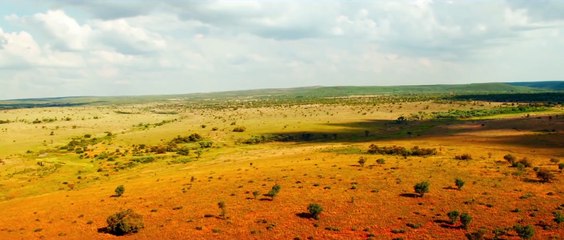 Mia et le lion blanc  - Teaser