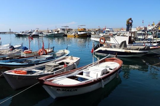 DENİZ SUYU SOĞUDU, BALIK AVI SEZONU DURDU