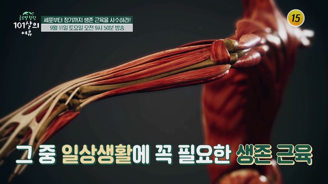 세포부터 장기까지 생존 근육을 사수하라_글로벌 힐링 101살의 여유 11회 예고 TV CHOSUN 210911 방송