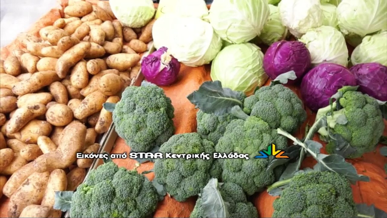 Δύσκολος χειμώνας με αυξήσεις των τιμών σε τρόφ...
