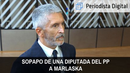 ¡Zasca! Así fue el sopapo de una diputada del PP al ministro Marlaska