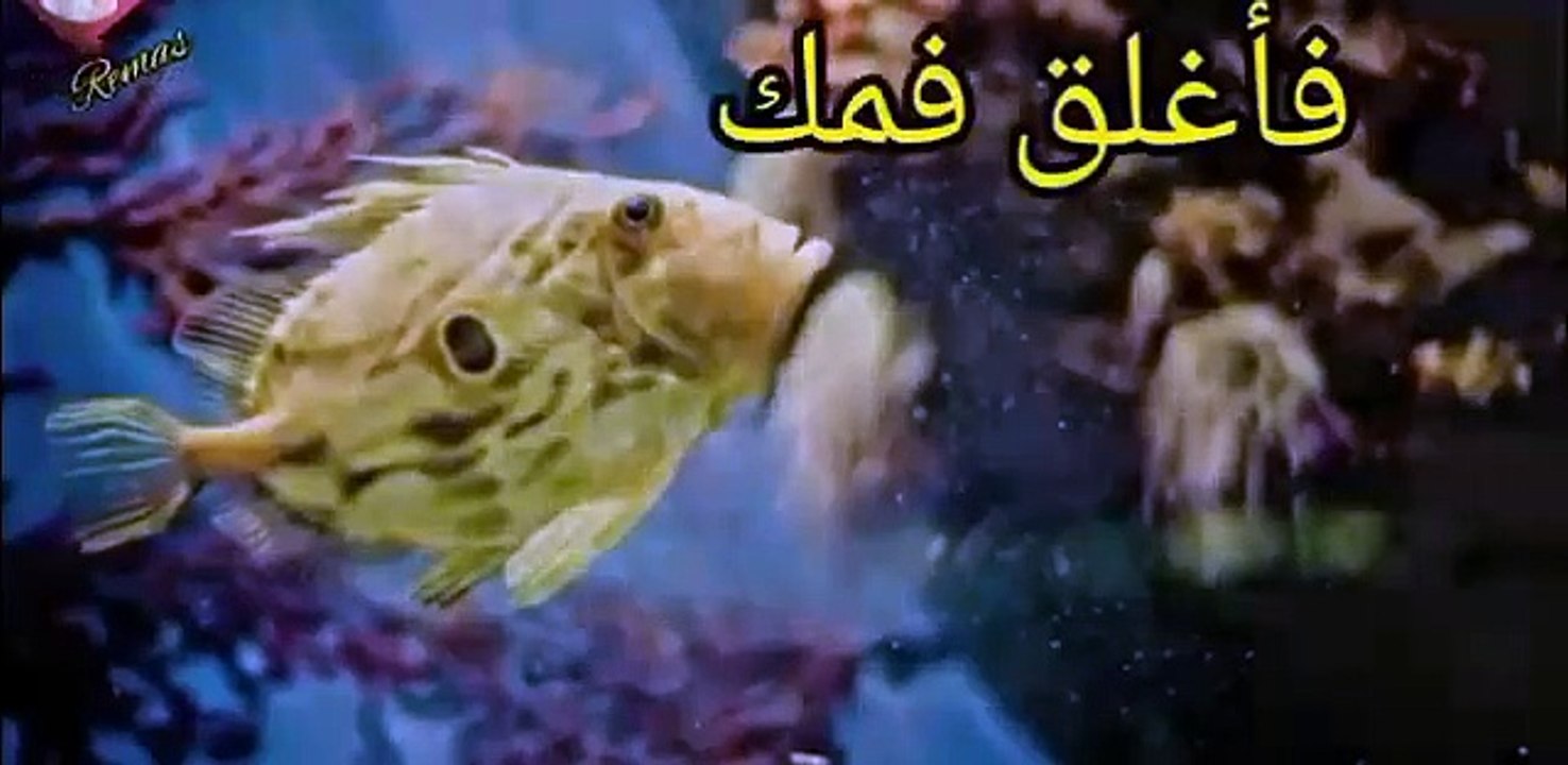 عبرة لمن يعتبر