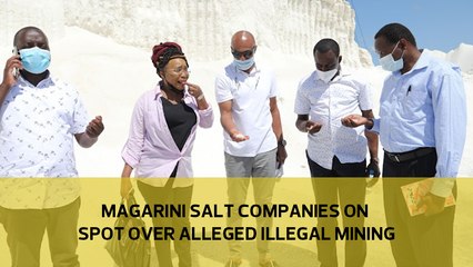 Magarini salt companies on spot over alleged illegal mining
