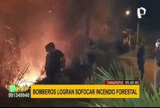 Tarapoto: Incendio forestal es controlado por Bomberos