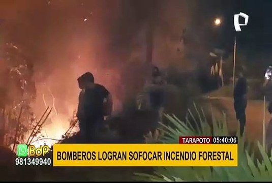 Tarapoto: Incendio forestal es controlado por Bomberos