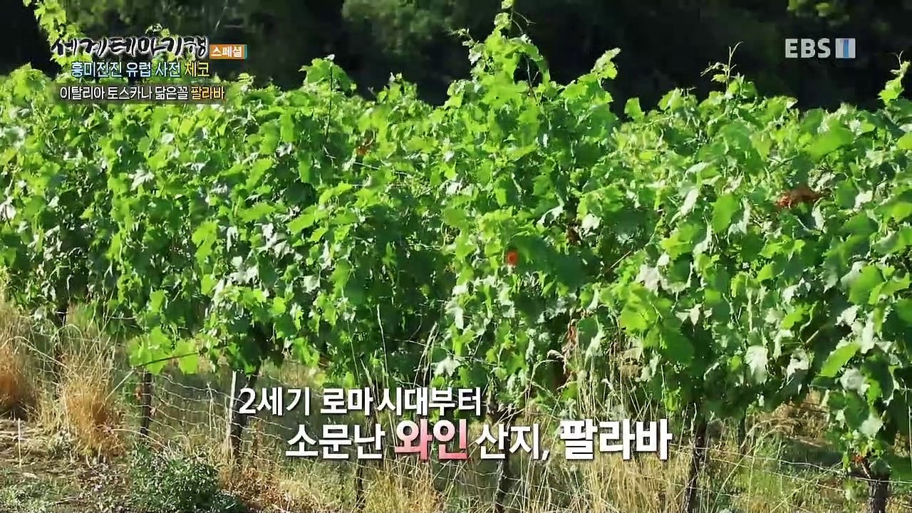 세계테마기행 - 흥미진진 유럽 사전- 동유럽 숨은 1인치, 체코_#002