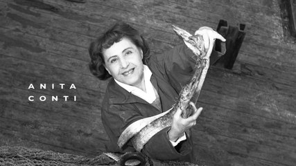 2021 Teaser Expo Anita Conti - Lorient * Trigone Production