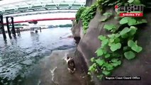 خفر السواحل اليابانيون ينقذون كلباً من الغرق في نهر بارد