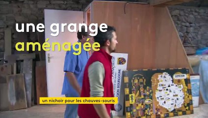 En Côte-d'Or, un particulier aménage sa grange en gîte pour chauves-souris