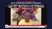 Ex-Duterte adviser Michael Yang faces Senate blue ribbon committee [Part 2]