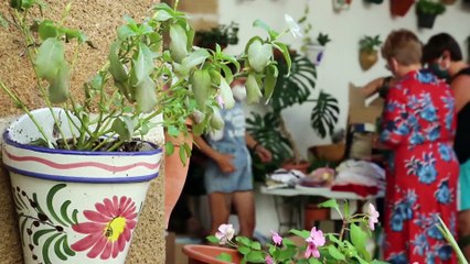 Spendenflut für Afghanische Flüchtlinge