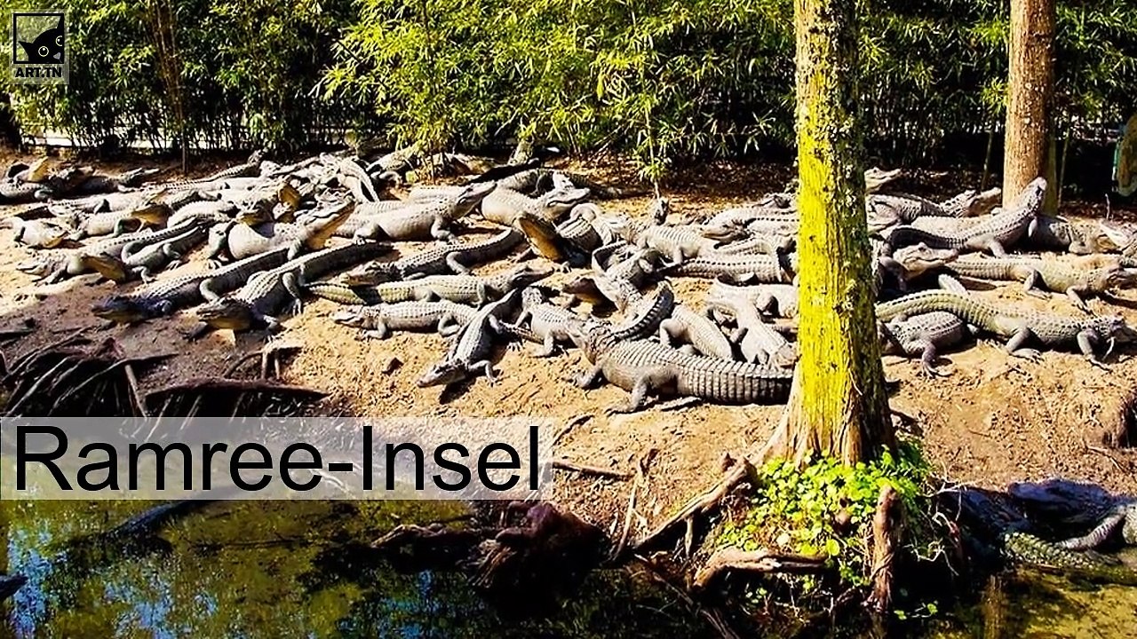 Die gefährlichsten Inseln der Welt